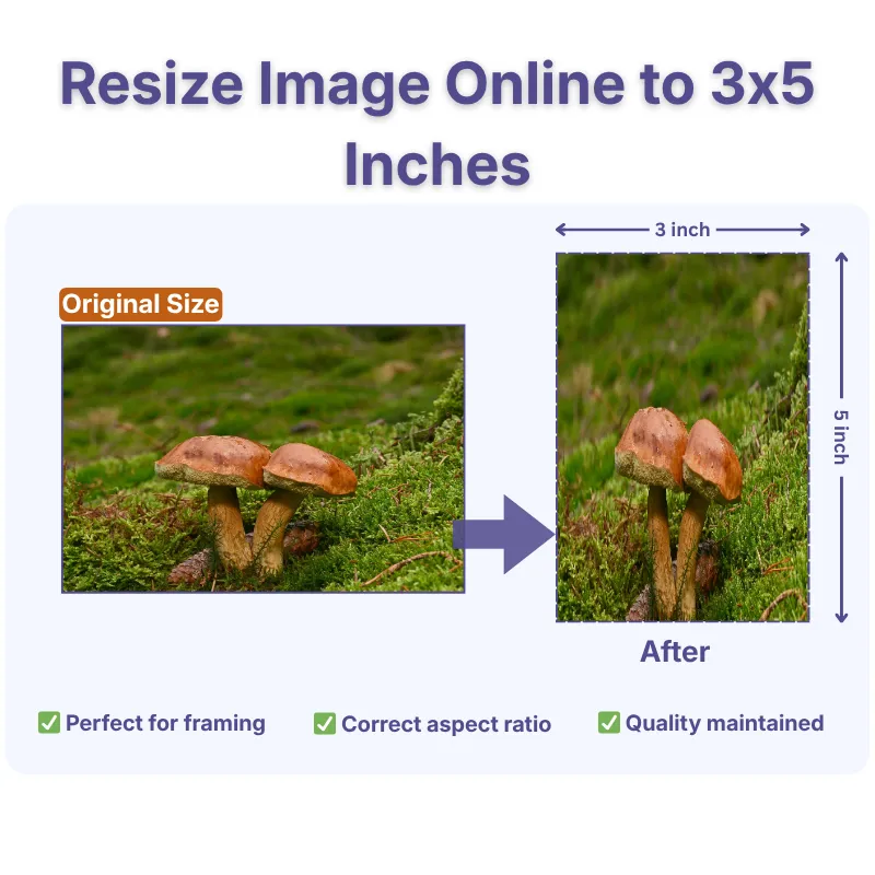 Resize image online to 3x5 inches